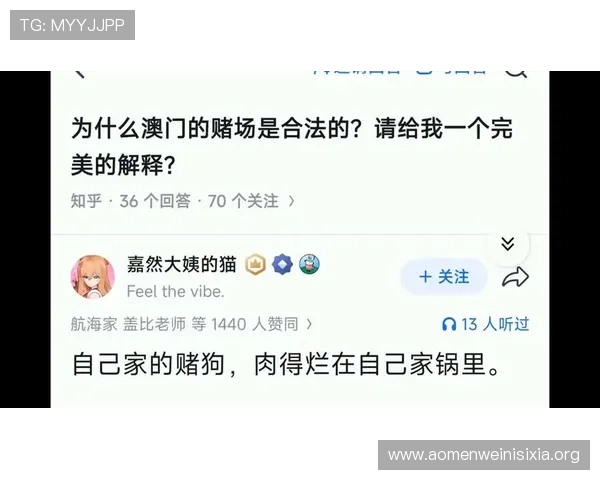 澳门赌场为什么合法的原因解析与法律依据详解